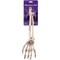 Erwin Distribution Skeleton Arm Decoration Plastic Outdoor Halloween 14.5" Spooky